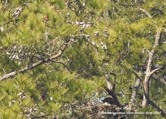 walk9651-02-08-17-11-43-49-new-hope-kate-chick