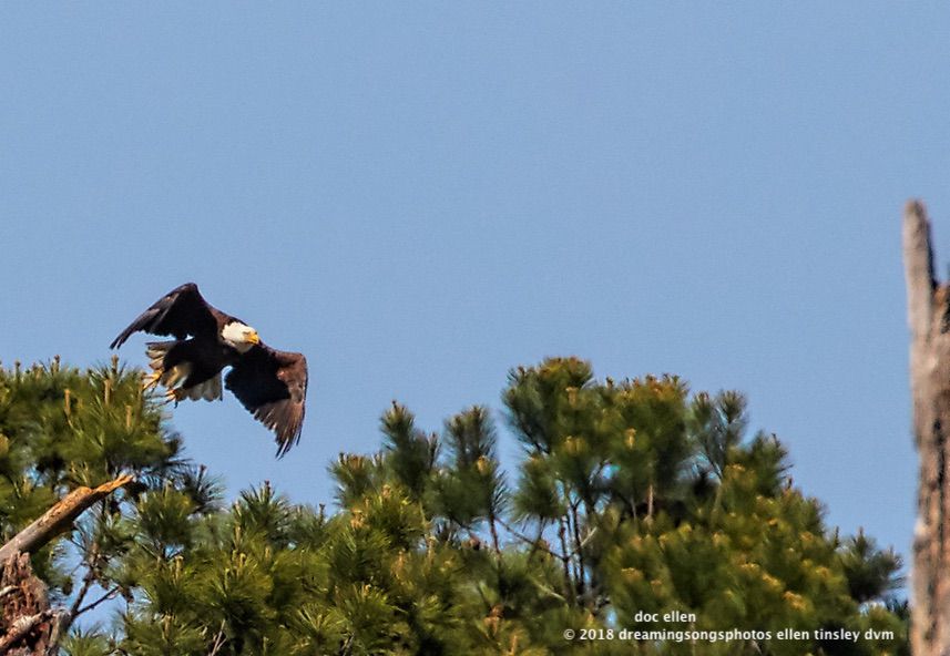 MARK0215 WO East 01-05-18 15-51-1-1-Edit