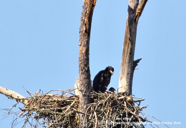 MARK0339 WO East 01-05-18 16-39-1-1-Edit