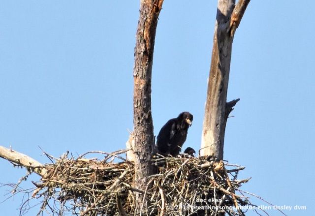 MARK0339 WO East 01-05-18 16-39-1-1-Edit