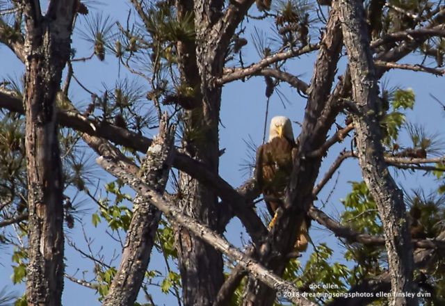 MARK0447 WO East 01-05-18 17-09-1-1-1-1-Edit