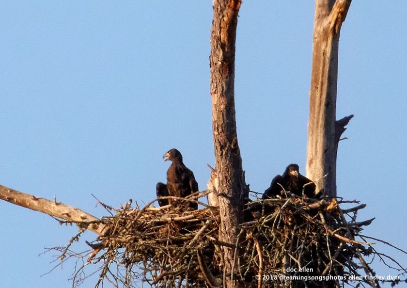 MARK0703 WO East 01-05-18 18-37 1-1-1-1-Edit